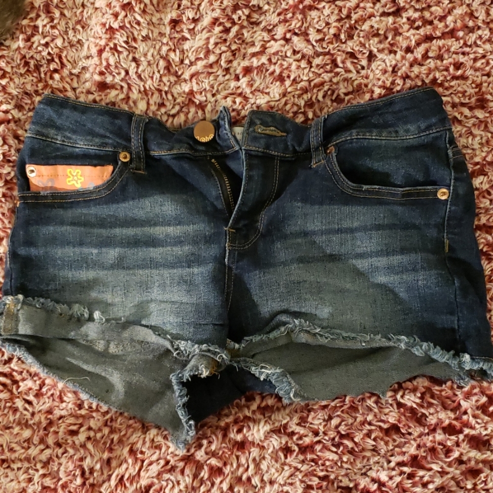 Hand Painted (by me) jean shorts